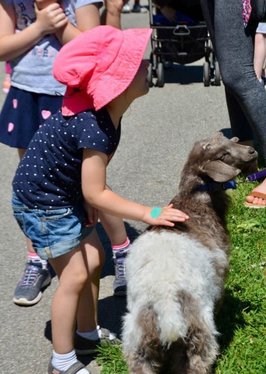 Heckscher Farm Festival