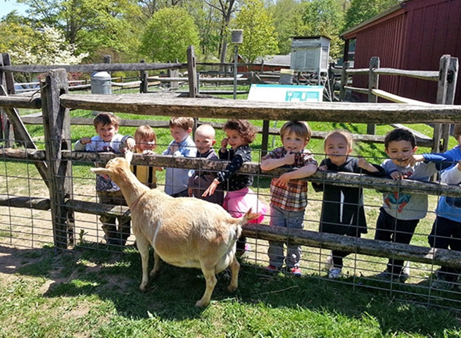 Farm