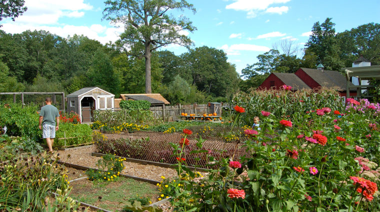 Garden Bg