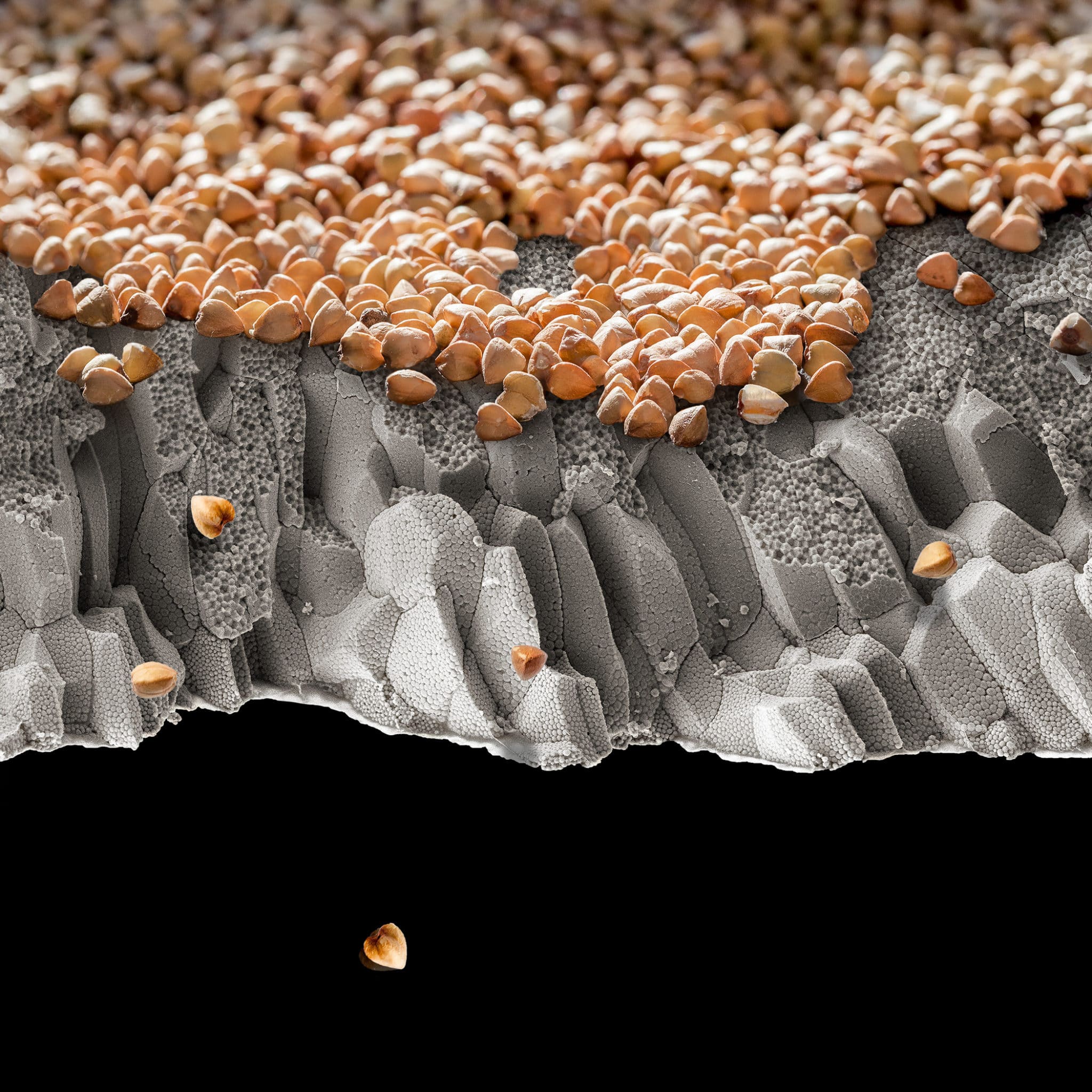 Buckwheat Cliffs, 2019 <br> Archival c-print on aluminum with protective lamination
40 x 40 inches
© Robert Dash