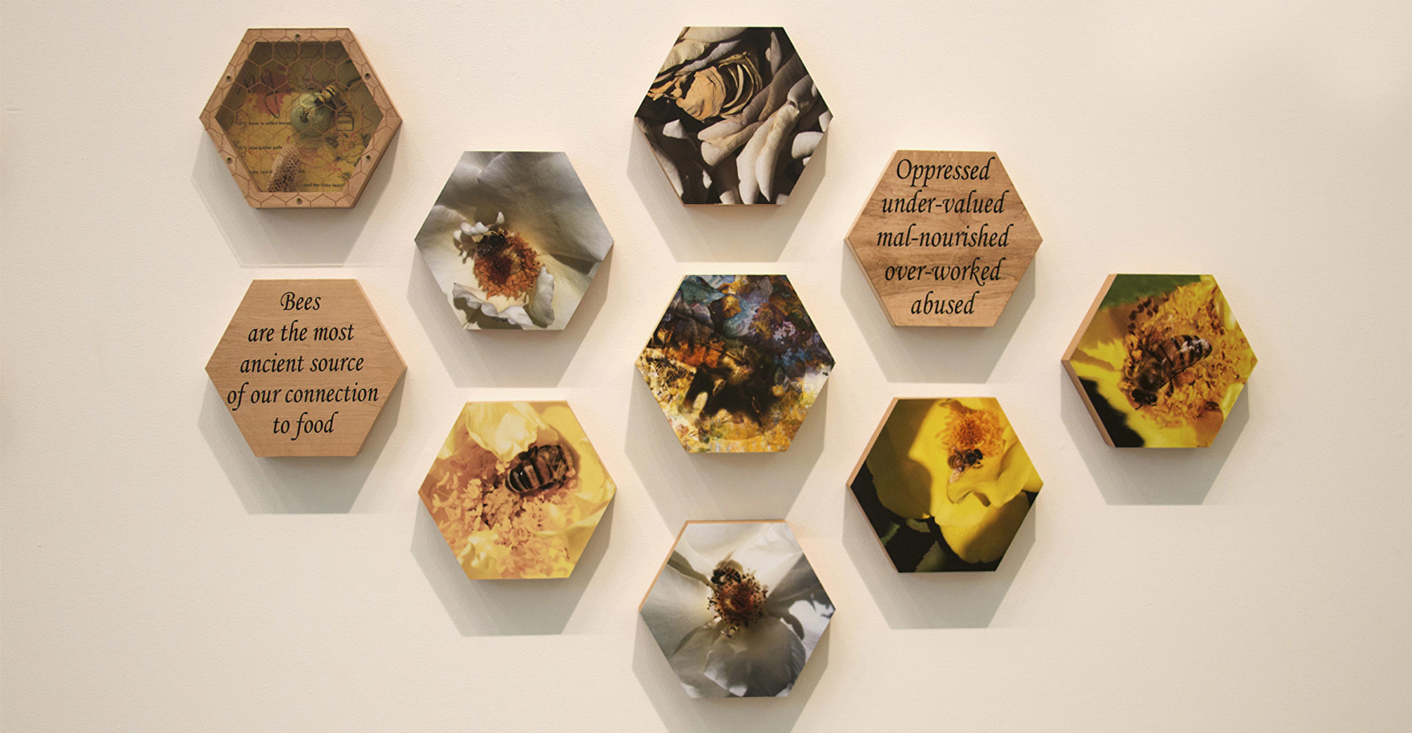 Nancy Macko
<em><strong><br>Honey Teachings: In the Mother Tongue of the Bees (Detail)</strong>, </em>2015<br>
Mixed media, archival digital prints, vinyl signage affixed to 105 hexagonal panels (cumala, bird’s eye maple, yellowheart, birchwood plywood)<br>
144 x 240 inches <em><br></em></p>
