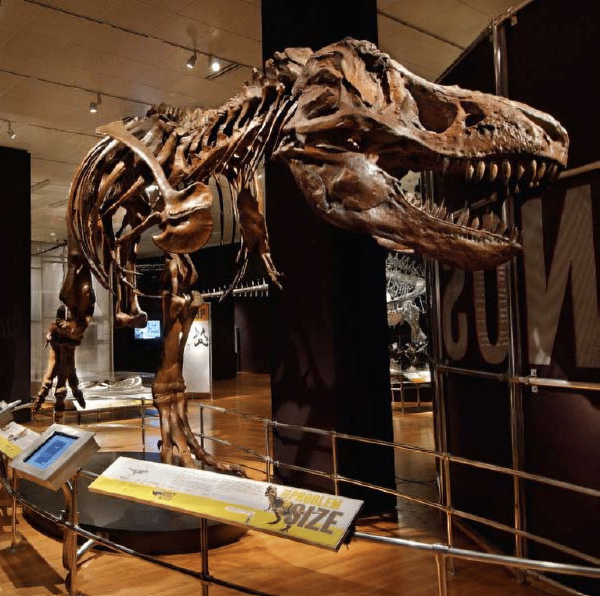 T-Rex