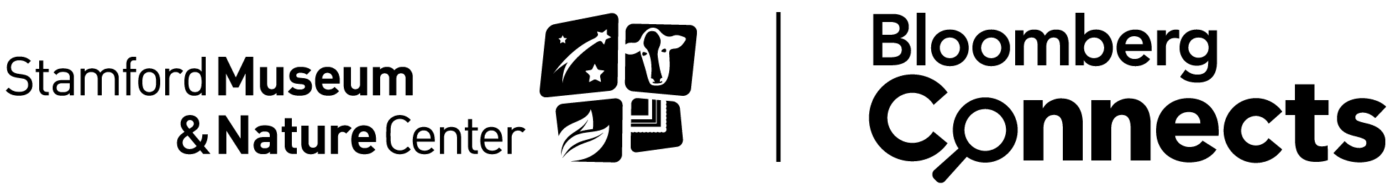 Long SMNC Bloomberg Lockup Black
