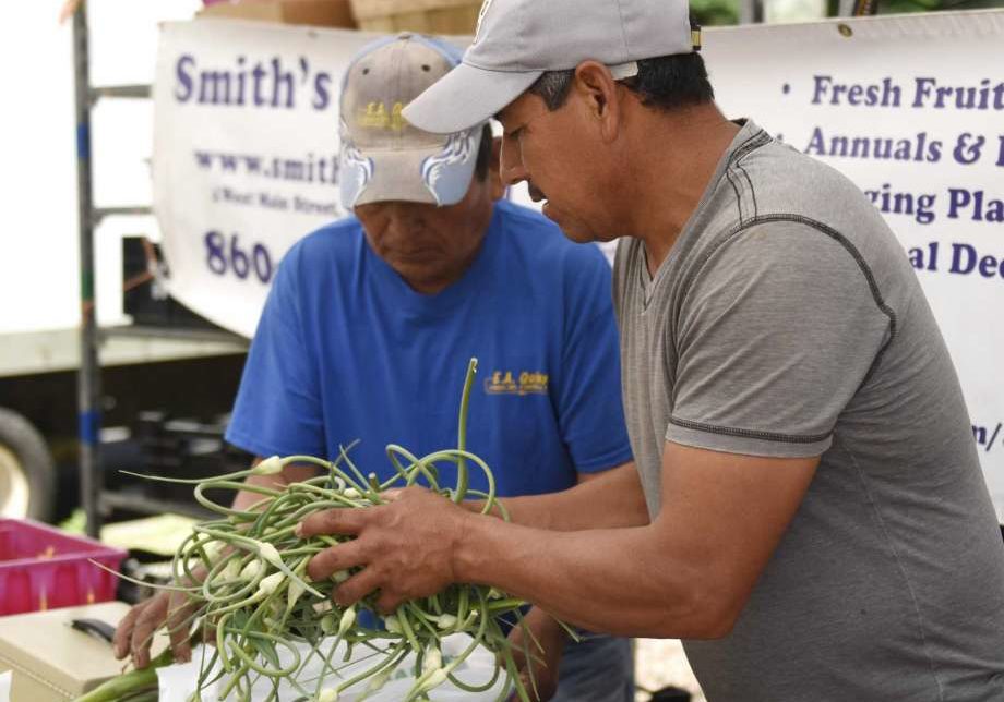 FarmMkt FarmMkt