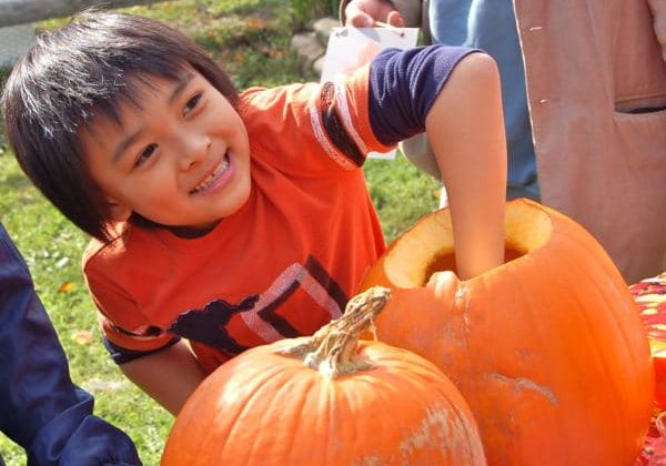 Pumpkin Carving
