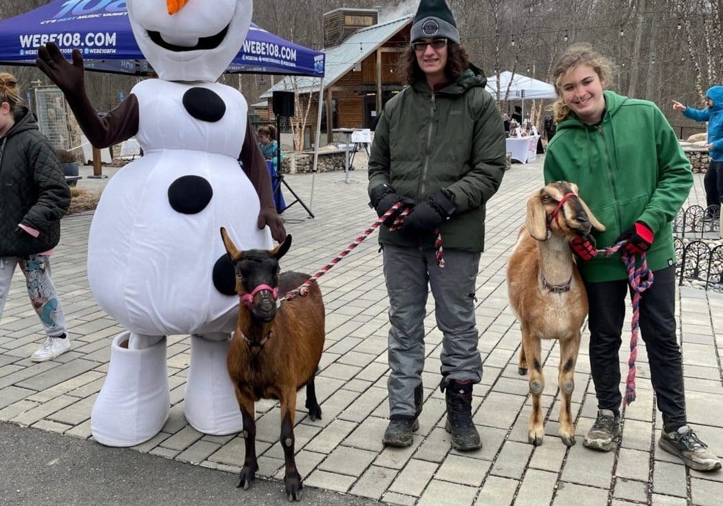 Olaf from Frozen will be visiting the Maple Sugar House + Cidery at Stamford Museum & Nature Center on all Fest Sundays