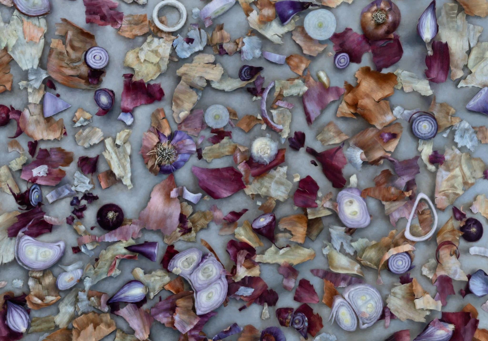 Rachel Sard
<em><strong><br>Shallots and Onions</em></strong> <br>
Oil on canvas<br>
16 x 20 inches, 2021