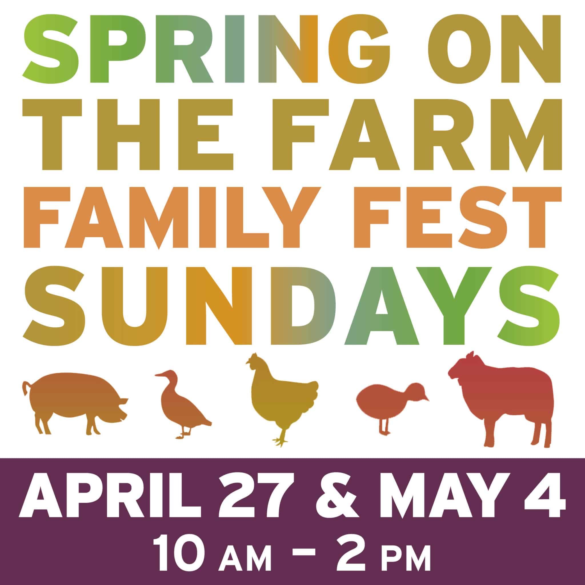 Spring On The Farm Square