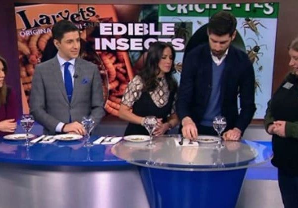Edibleinsects Edibleinsects