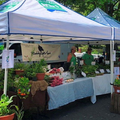 Farm Market Aug