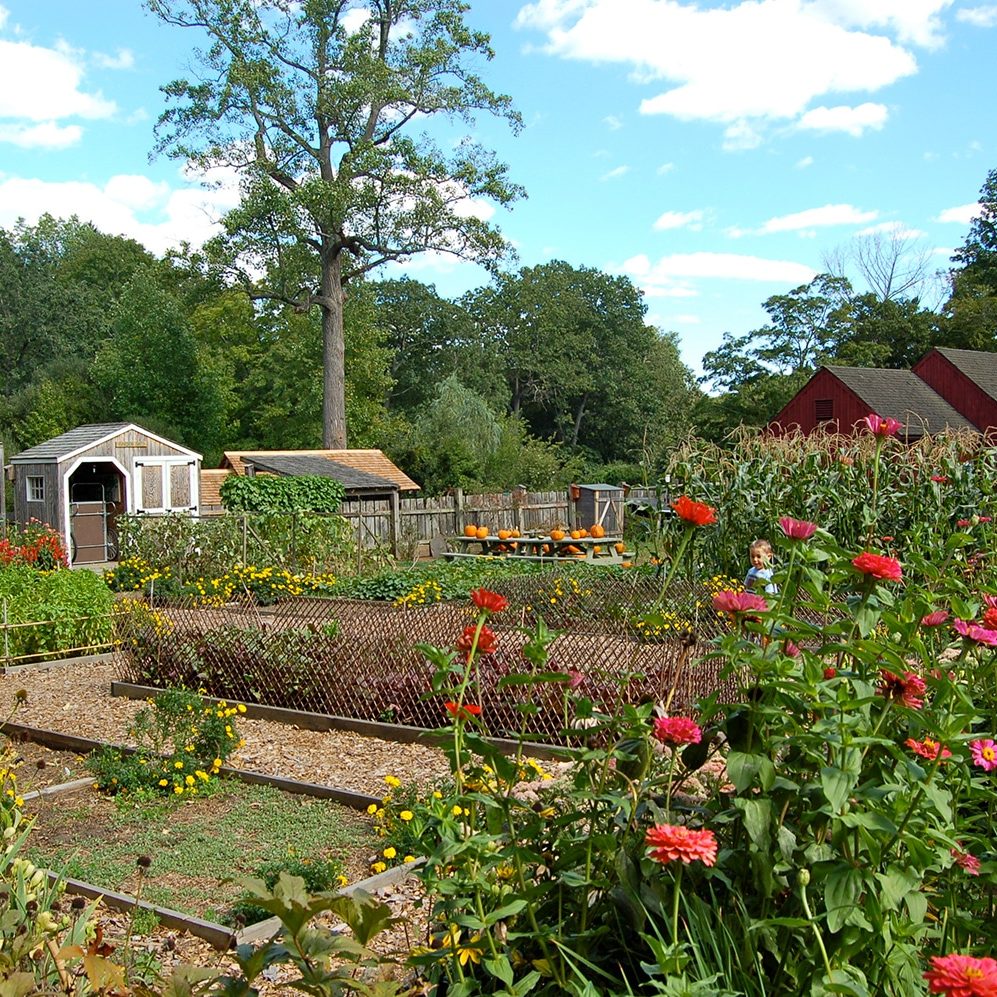 Garden Bg