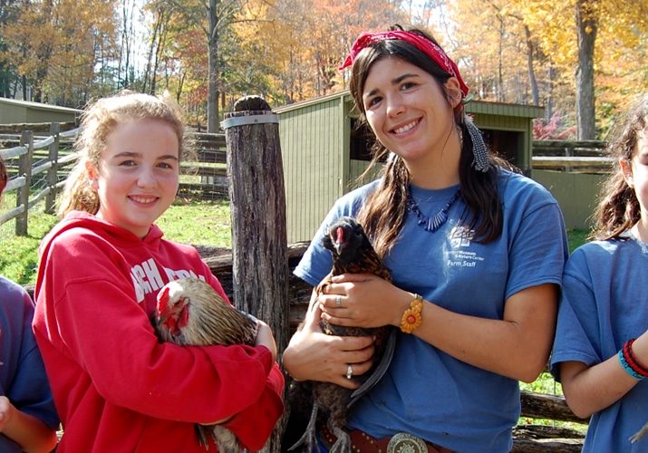 Junior Curator Programs