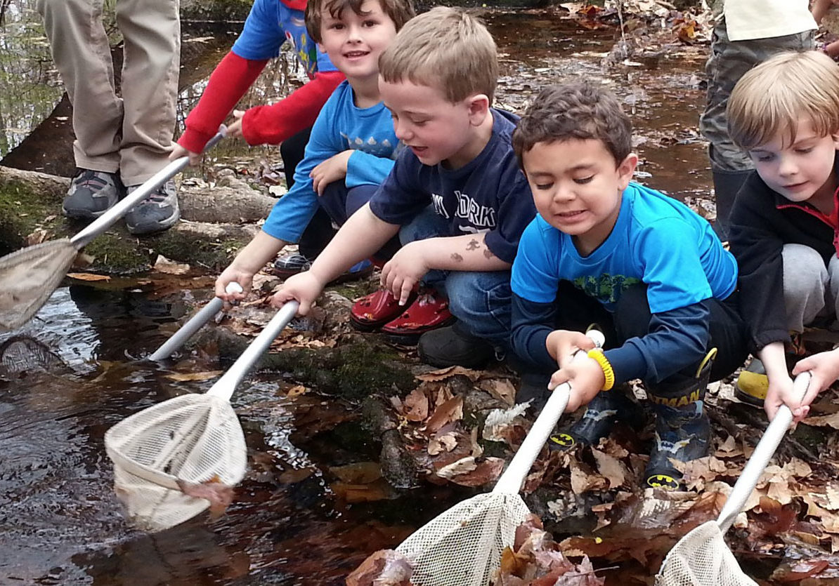 Nature Programs