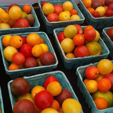 Tomatoes